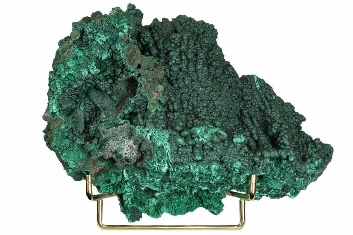 Sparkling Botryoidal Malachite Formation - Congo #148241